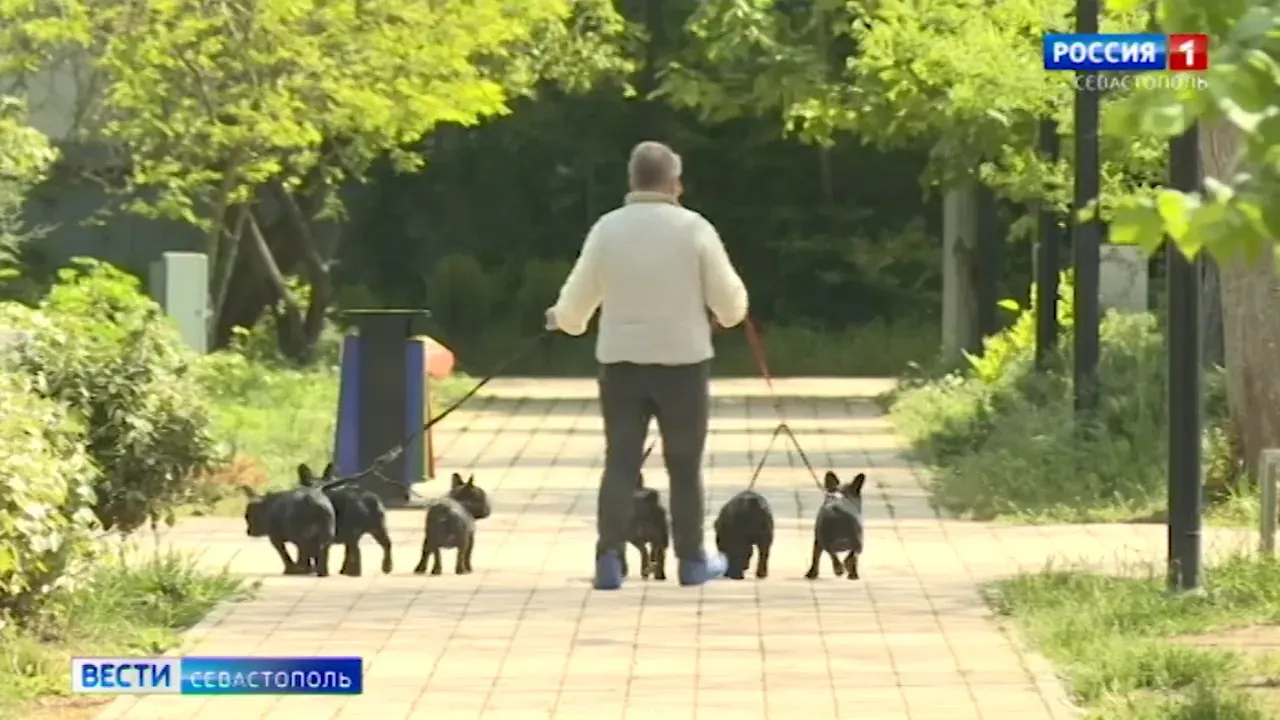 Севастопольцы могут отметить День прогулки по парку