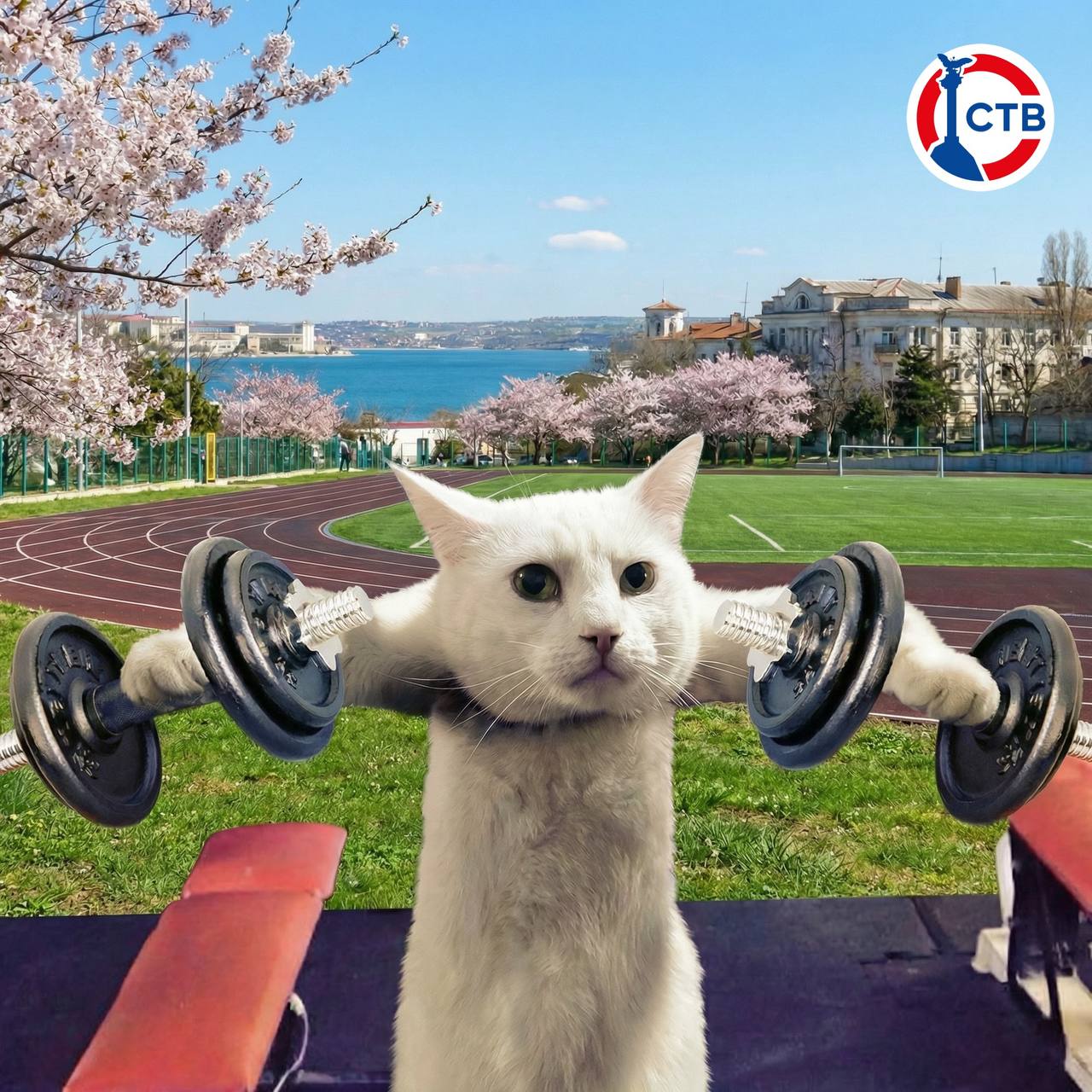 Севастополь вошёл в число самых «стройных» регионов России