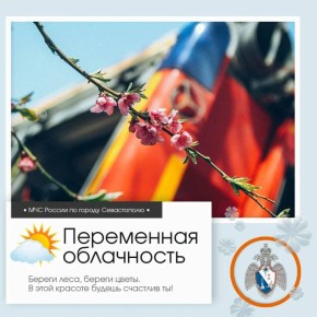 ����������, �����������!. �� ������ ��������������, 29 ����� � ����������� ����� ���������� ����������