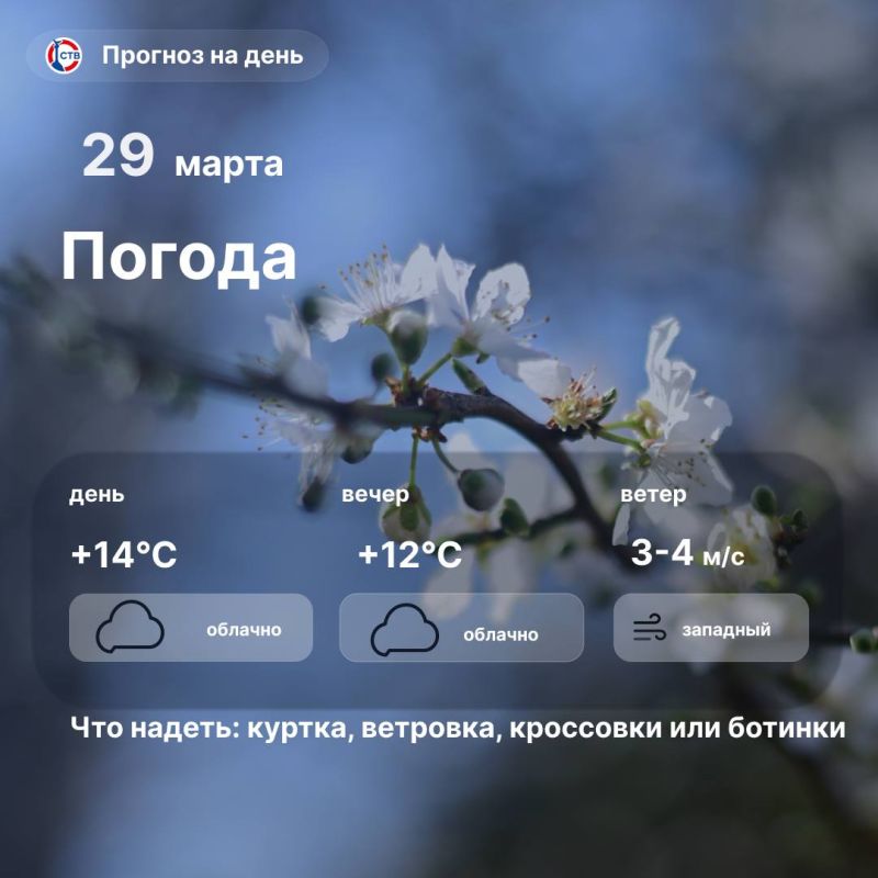 Доброе утро, севастопольцы! Сегодня погода порадует теплом: днем — в городе облачно, температура воздуха до +14°C