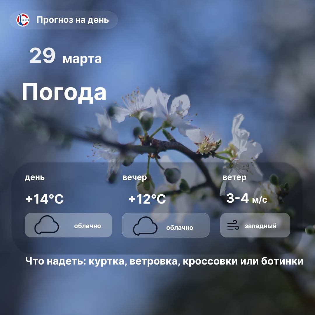 Доброе утро, севастопольцы! Сегодня погода порадует теплом: днем — в городе облачно, температура воздуха до +14°C
