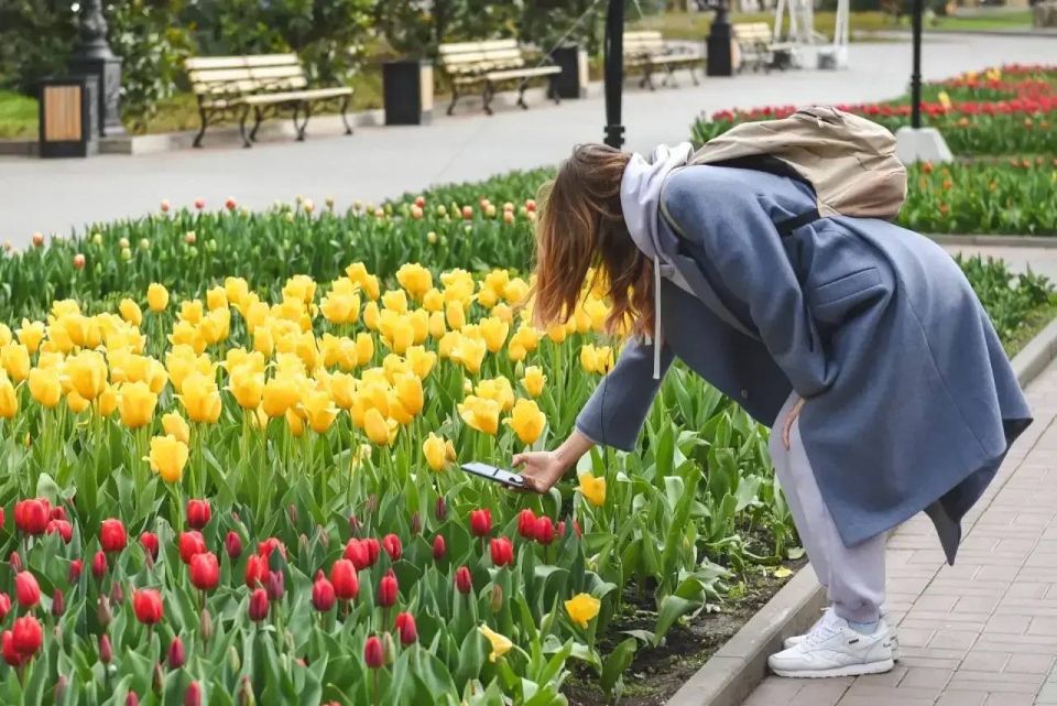 �������������, �������� �������� � ����� ����������