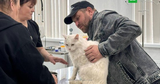 ���������� ��� ������ � ����������� ���� ����� ����� � ��������