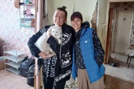 Кот Боня, пропавший после взрыва, нашелся спустя неделю