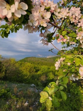 � ������ �����, ������!. � ����������� 30 ����� � ����������� ���� �����, ��������� �������