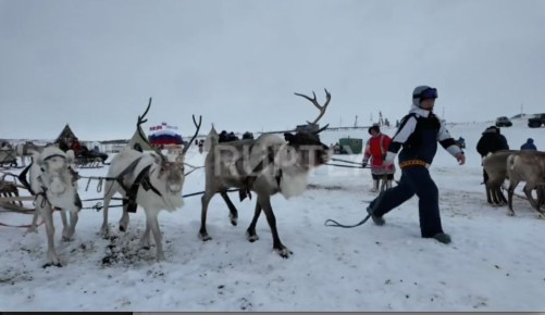 На Таймыре кочевники отметили День оленевода