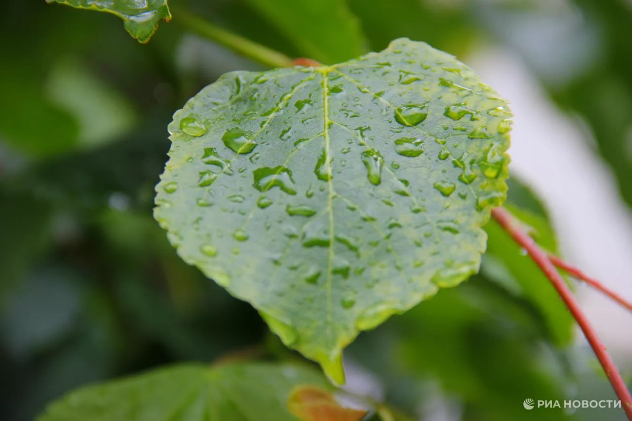 Прогноз погоды в Крыму на понедельник
