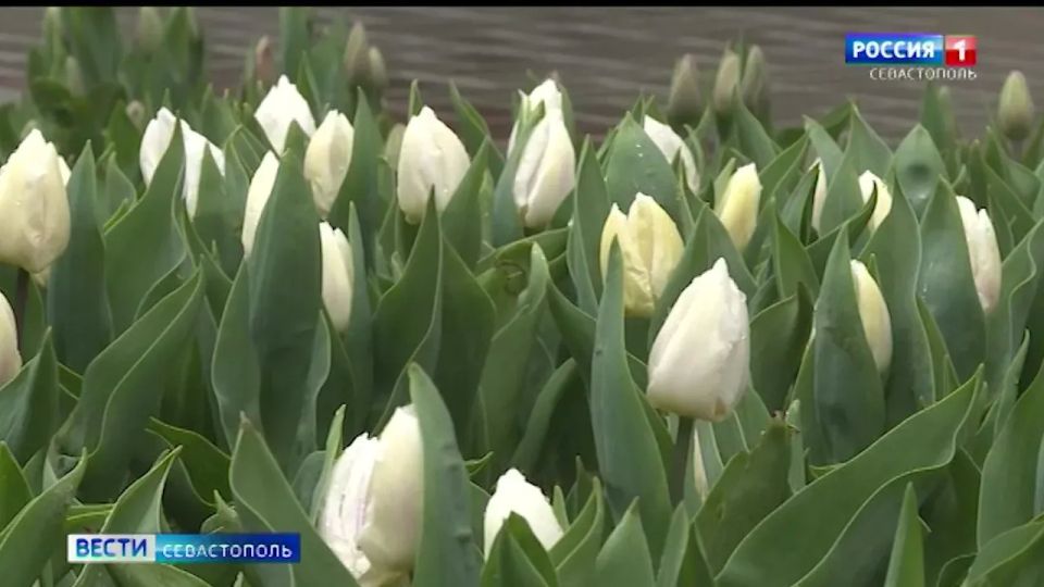 � ����������� ������� ������ � ������� ��������