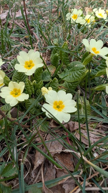 �������: �������� ���������, ������� �������� ������ � ����� �����������!