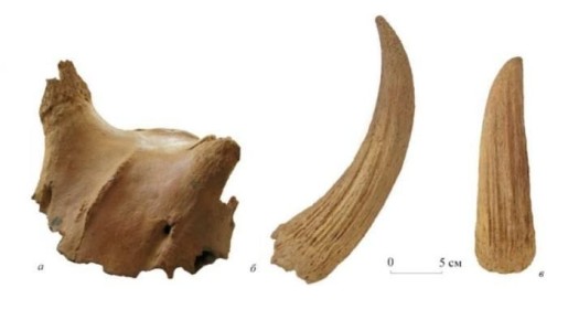 � ����� ���������� ����� ����������� ������ �������� ����, ���������� �� ����������� ����� ���� ��������� ��� �����