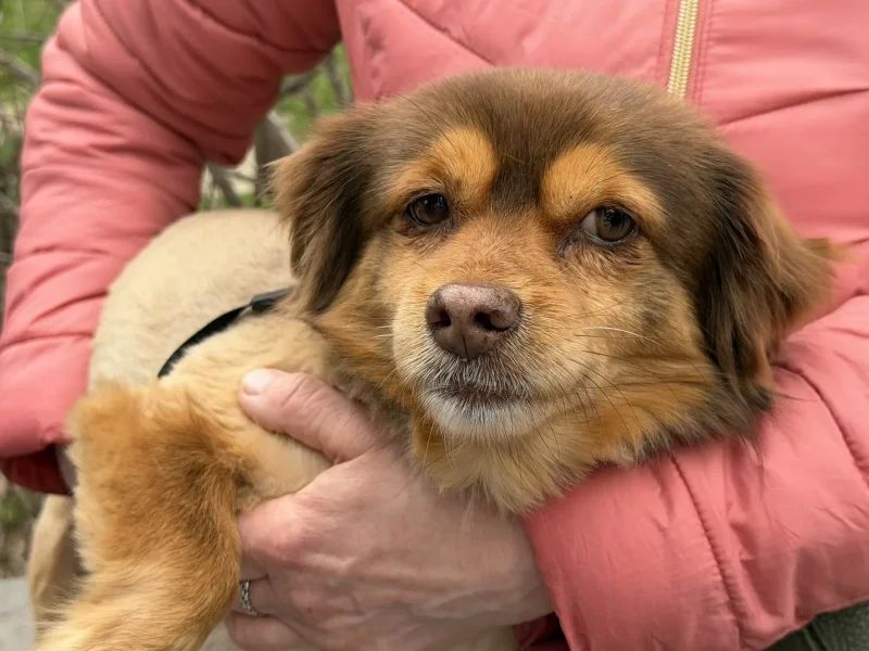 �� �������� � ����������� �� ��������� ������� ����� 150 ����� � �����