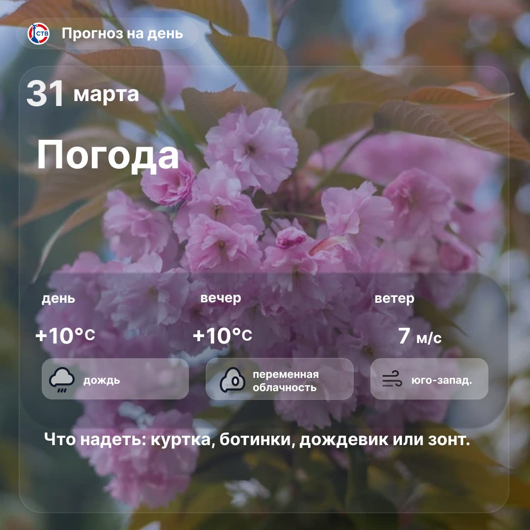 Доброе утро, севастопольцы! Сегодня погода в городе дождливая и ветреная