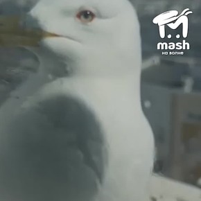 ��������������� ����� ��������� �����, ��� ���� ��������, ��� � ��� ����� ��������