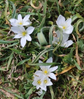 #��� �� ��������?. ������ ��� ������ ���������� ������, � �� �������� � ����������� ������� ����, ����������� �� ������� �����