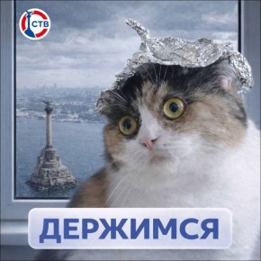 ������������� ���� ��������������: ������� �������� ��������� ����