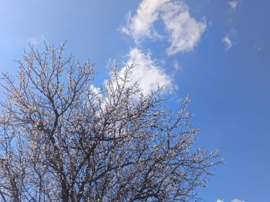 ������� ������ � ����� �� 1 ������