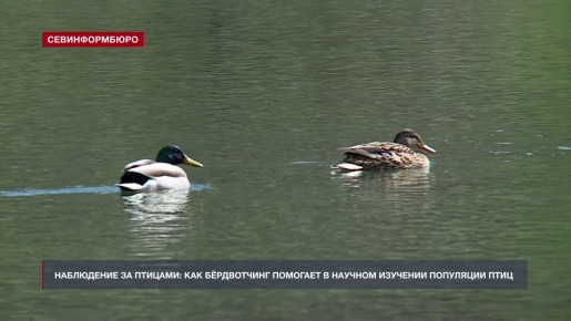 ���������� �� �������: ��� ���������� �������� � ������� �������� ��������� ����