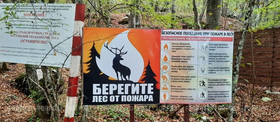 43 территории риска: в Севастополе стартовал пожароопасный сезон