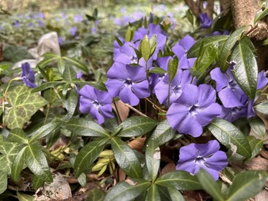 #��� �� ��������?. ��� ���������� ����������� �������� �������� ����������� � ����� �������, ������ ����������� � �������� ����� ������� ������ ������ � ������ ��� �������� ������������ �� ������ ����� �� ������ ���������...