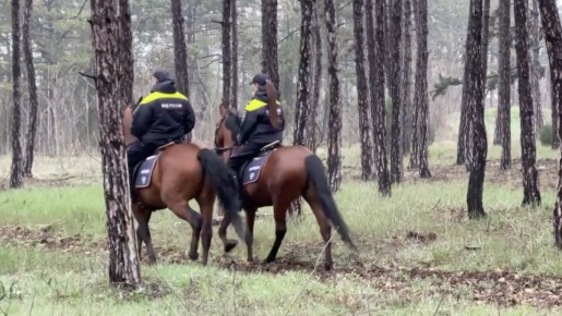 В Мекензиевом лесничестве провели рейд по противодействию пожаров
