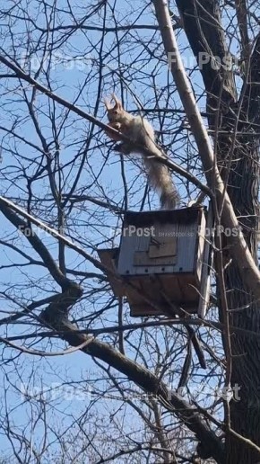 Милота в сквере 60-летия СССР:)