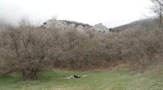 � ����������� � ����� ������� ������������� �����