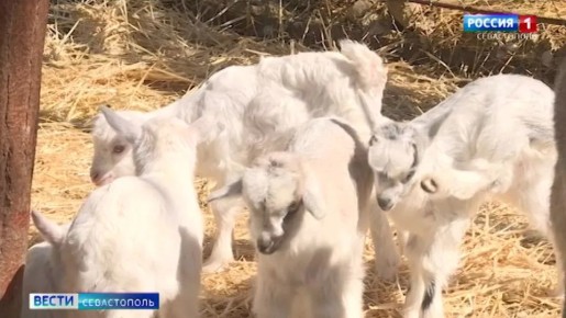 � ������� ������� ����������: �� ���-����� ��������� ��������� �������