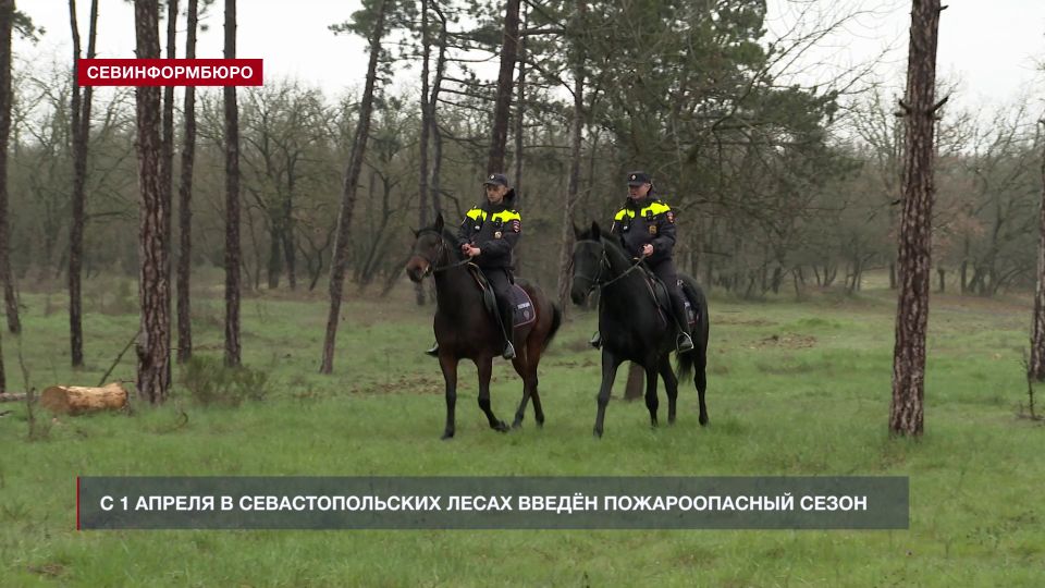 ��� ������ ��������������� ����� ������������ ������ �������