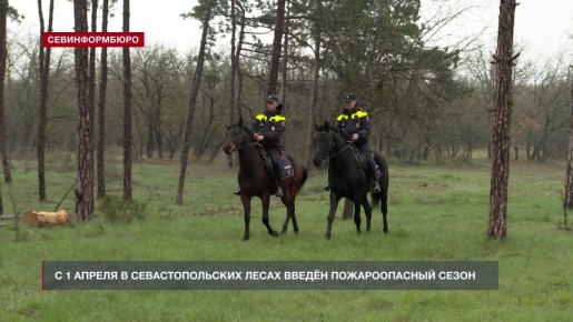 ��� ������ ��������������� ����� ������������ ������ �������