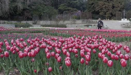 � ��������� ������������ ���� �������� 19-� ����� ���������