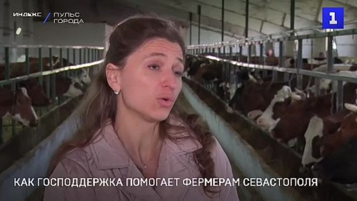 Господдержка помогает севастопольским фермерам наращивать надои