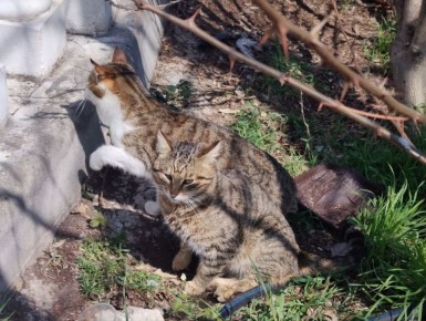 � ������ �����, �����������!