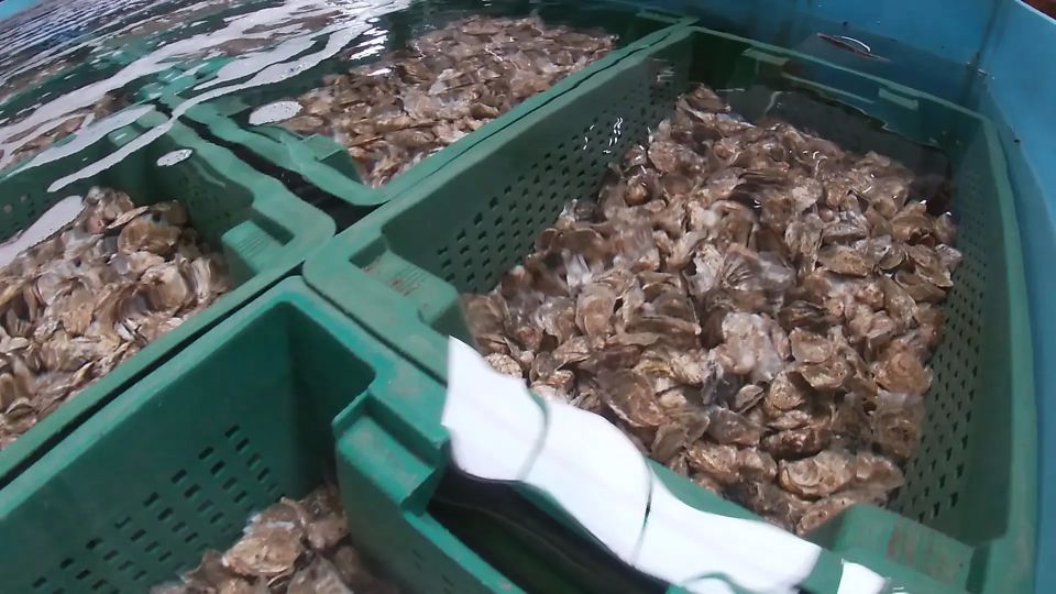 ������������ ������ � ����������� ������������ � ��������� �������