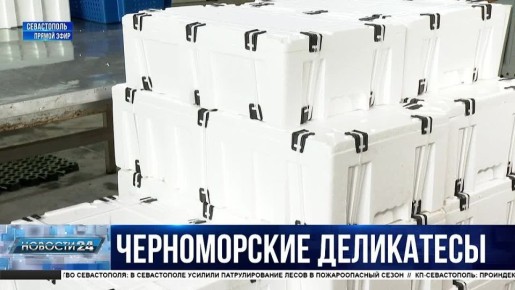 ����������� ������ � ���: ��� ����������� ������������ ��������� �����������?