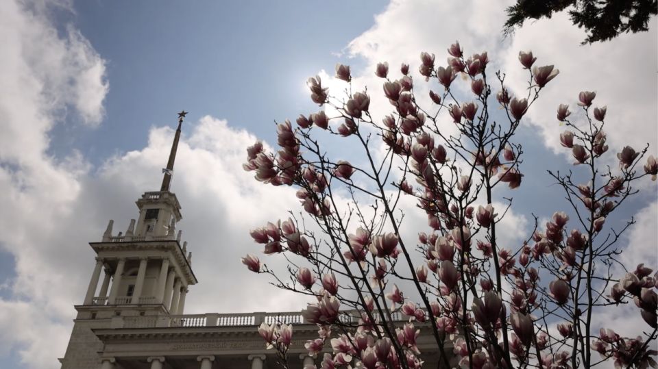 ����� � �����������: ����� ������� � ���������� ������