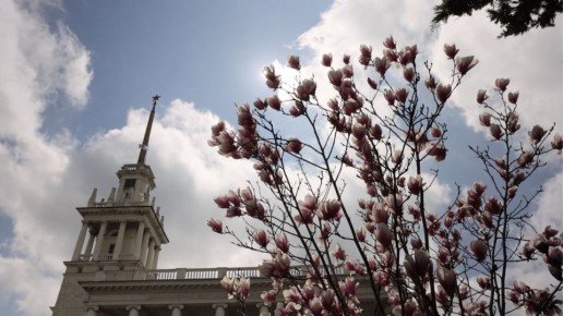 Весна в Севастополе: город утопает в живописных этюдах