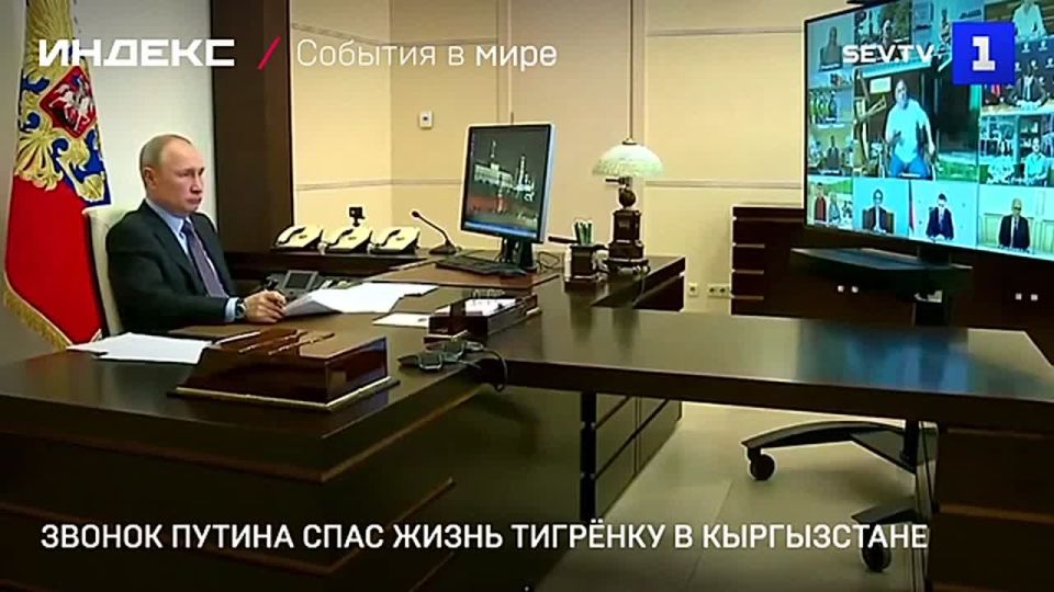 ������ ������ ���� ����� ������� ������ � �����������