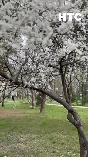 ����� � ������. ���� 60-����� ���� ��� � ���