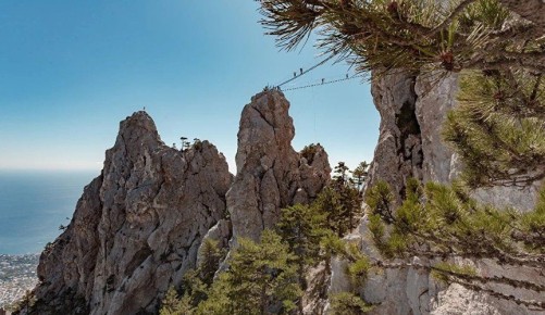 ���������� ������� � ����� � ��������� ����������� ����� �������� ��� ���������