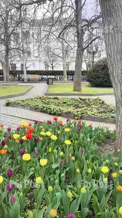 Держим зонты покрепче. Метеорологи говорят: настоящее тепло придёт в Севастополь только после Пасхи