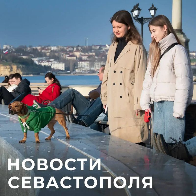 ������ ���������: ������ � �������:. ������ ����