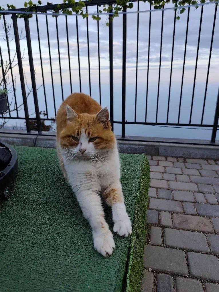 Встречаем выходные, севастопольцы!