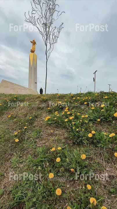 � ��������� ���������� ������� �����������