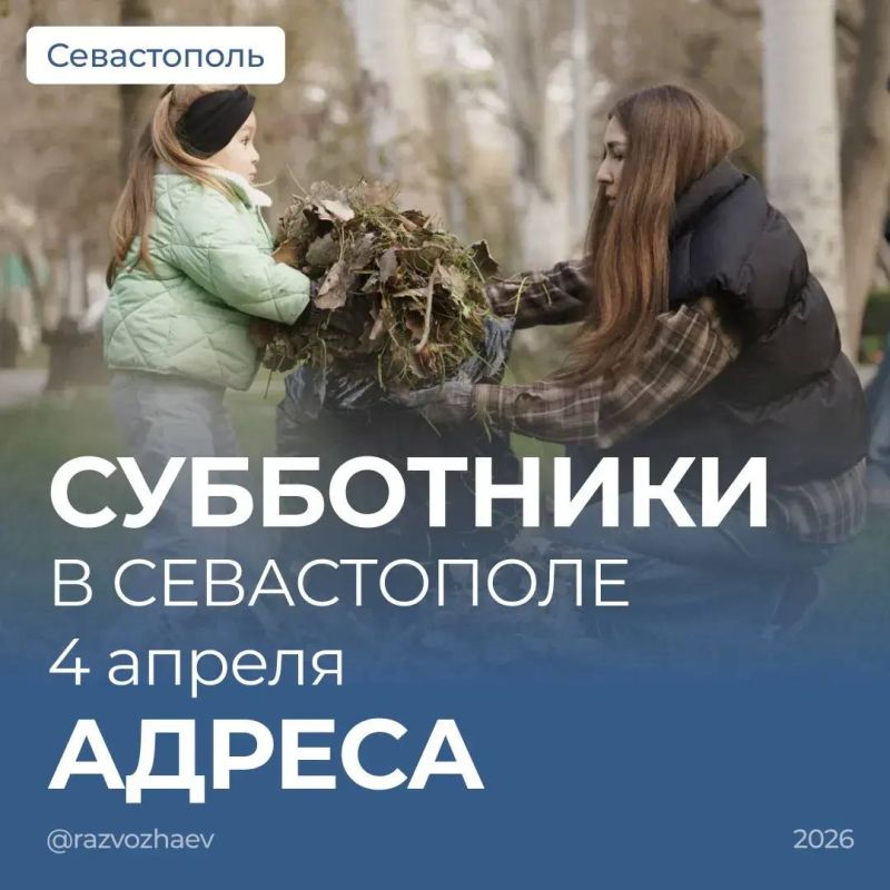 ������ ���������: ���������� � ����������� �������� �������