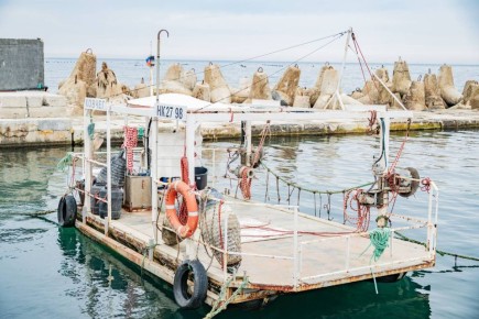 Николай Приставка: Уважаемые севастопольцы! Хочу поделиться важной и позитивной новостью: предприятие ООО НИО «Марикультура», ведущее выращивание устриц и мидий в наших акваториях, уверенно восстанавливает производство после...