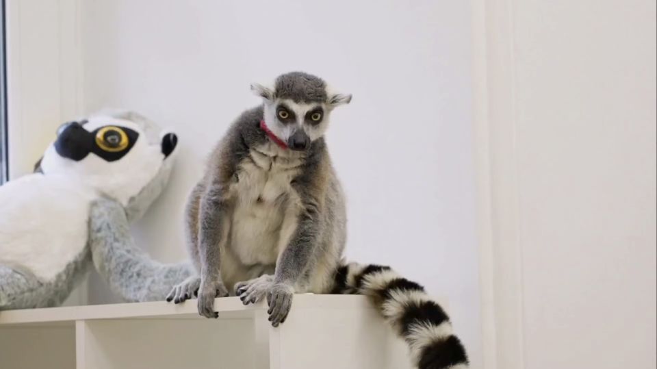 �� ����������� �������� ������ ��������� ������