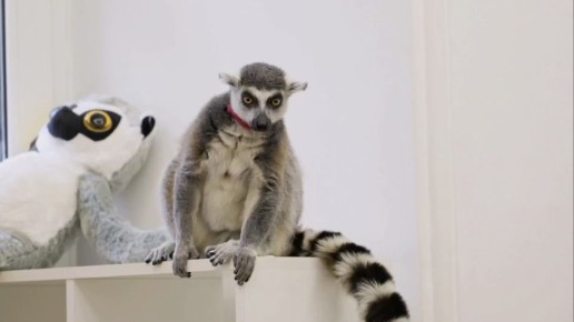 �� ����������� �������� ������ ��������� ������