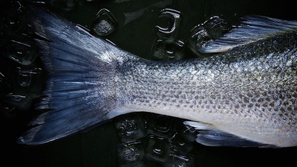 В Севастополе уничтожили почти 50 килограммов рыбы