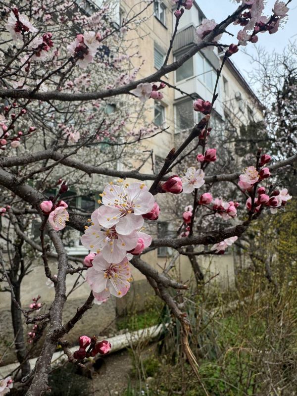 Погода на 3 апреля:. • пасмурно, дождь