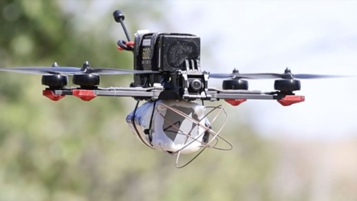 ������ � ����� ��������� ����� ���� ��� ������